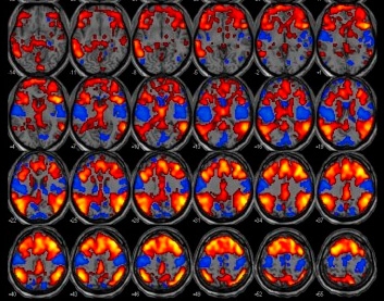 imagem-agencia-fapesp