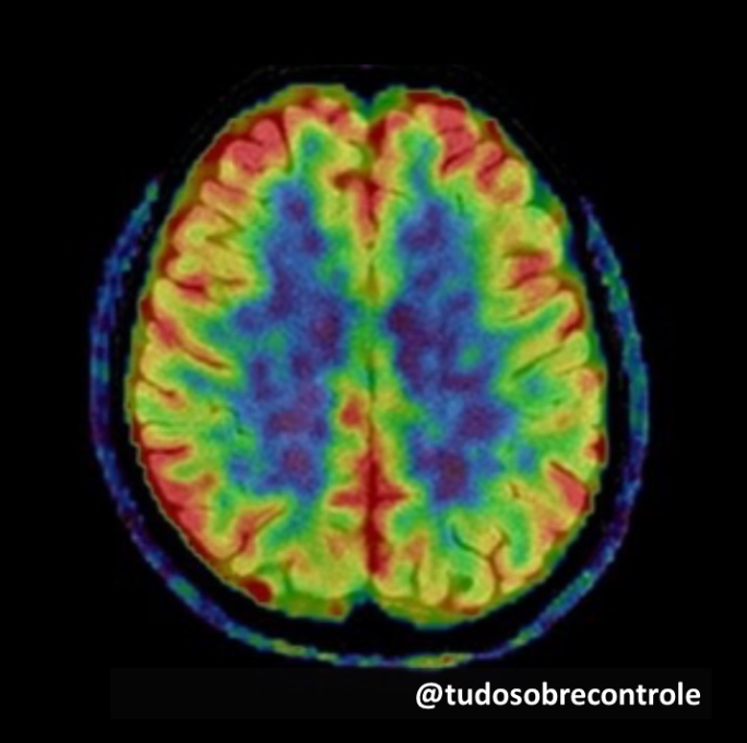 voce sabia novembro 2.png