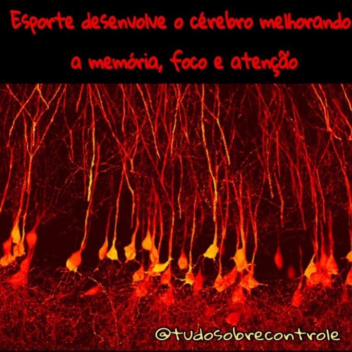 18342822_691663304373260_5516053559065807991_n