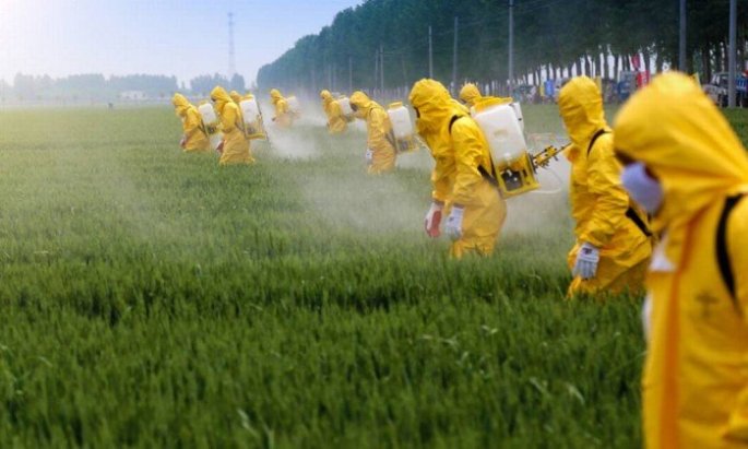 xagrotoxico.jpg.pagespeed.ic.hIO22bdF1F